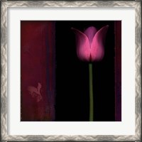 Framed Red Tulip I