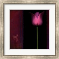 Framed Red Tulip I
