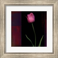 Framed Red Tulip II