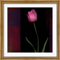 Framed Red Tulip II