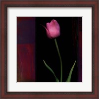 Framed Red Tulip II