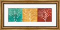 Framed Fallen Leaves