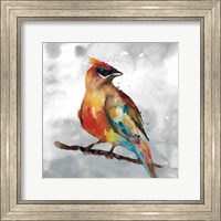 Framed Cardinal