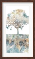 Framed Water Tree I