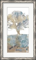 Framed Water Tree II