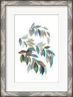 Framed Leaf Collection I