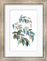 Framed Leaf Collection I