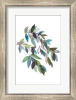 Framed Leaf Collection II