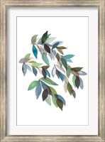 Framed Leaf Collection II