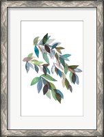 Framed Leaf Collection II