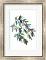 Framed Leaf Collection II
