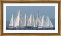 Framed Sailing Team