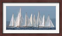 Framed Sailing Team