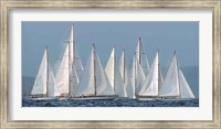 Framed Sailing Team