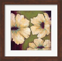 Framed Blooms II