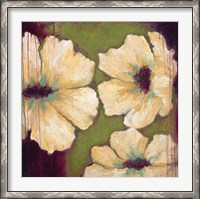 Framed Blooms II