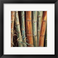 Framed Caribbean Bamboo I