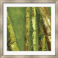 Framed Bamboo Columbia I