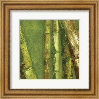 Framed Bamboo Columbia I