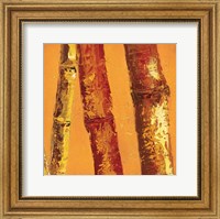 Framed Bamboo Columbia II
