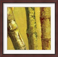 Framed Bamboo Columbia IV