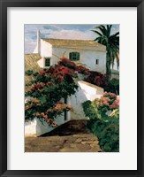 Framed Courtyard Blossoms