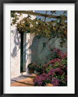 Framed Bougainvillea and Vine