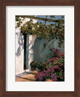 Framed Bougainvillea and Vine