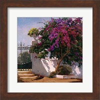 Framed Menorca Home