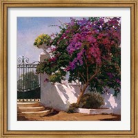 Framed Menorca Home