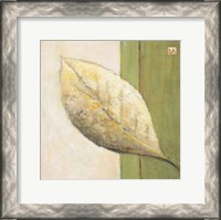 Framed Leaf Impression - Olive