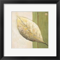 Framed 'Leaf Impression - Olive' border=