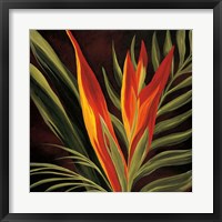 Framed Birds of Paradise II