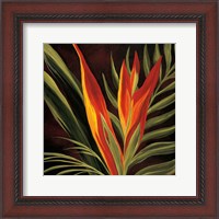 Framed Birds of Paradise II