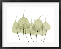 Woodlands I Framed Print