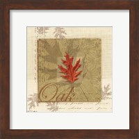 Framed 'Oak' border=