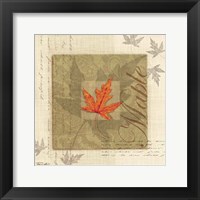 Maple Framed Print