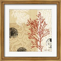 Framed Coral Impressions II