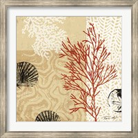 Framed Coral Impressions II