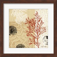 Framed 'Coral Impressions II' border=