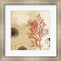 Framed 'Coral Impressions II' border=