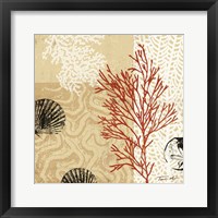 Framed Coral Impressions II