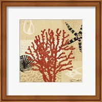 Framed 'Coral Impressions III' border=