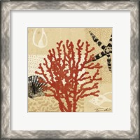 Framed 'Coral Impressions III' border=