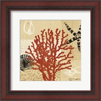 Framed Coral Impressions III