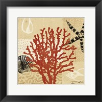 Framed Coral Impressions III