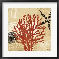 Framed Coral Impressions III