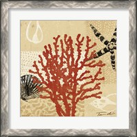 Framed 'Coral Impressions III' border=