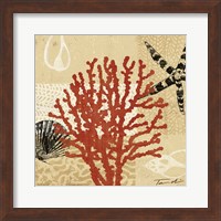 Framed 'Coral Impressions III' border=