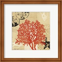 Framed 'Coral Impressions IV' border=